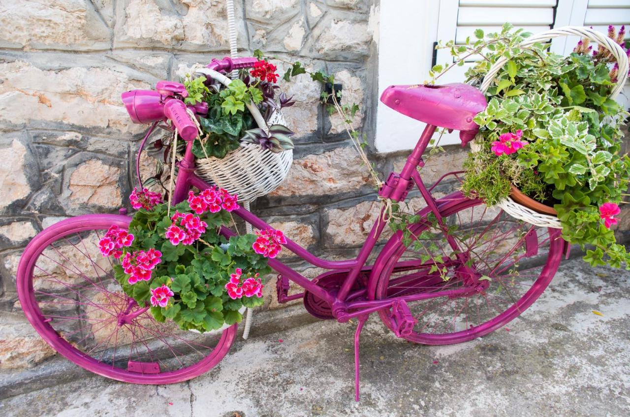 Appartamento Milica Garden *