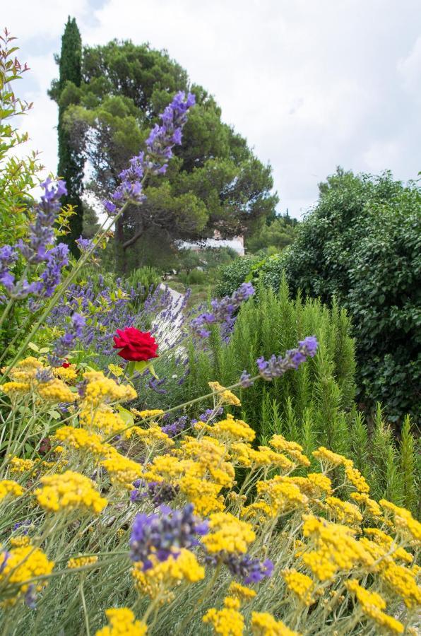 Appartamento Milica Garden