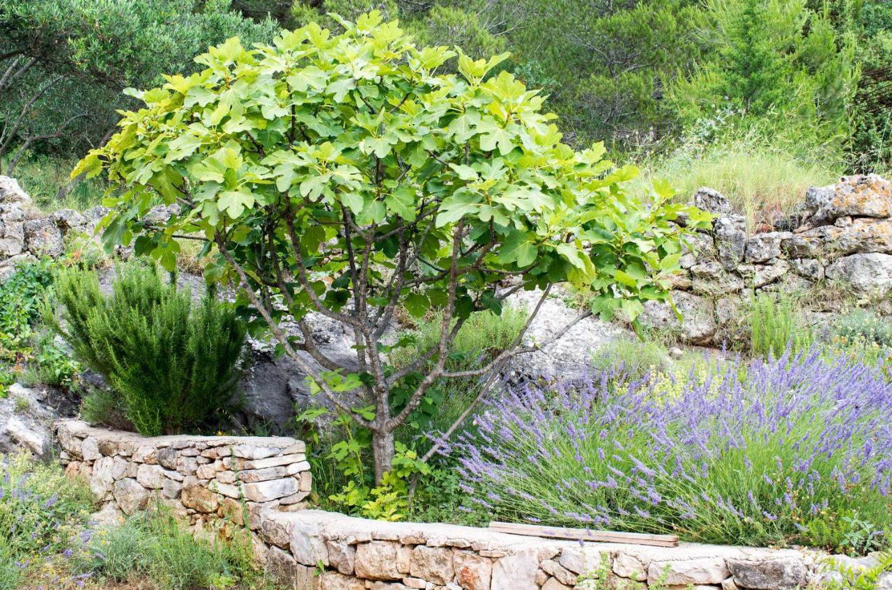 Milica Garden Appartamento *