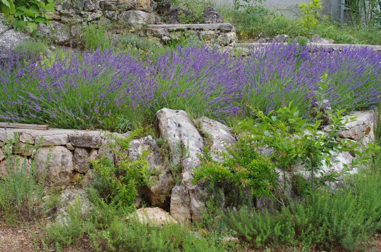 Milica Garden * Prvic Sepurine
