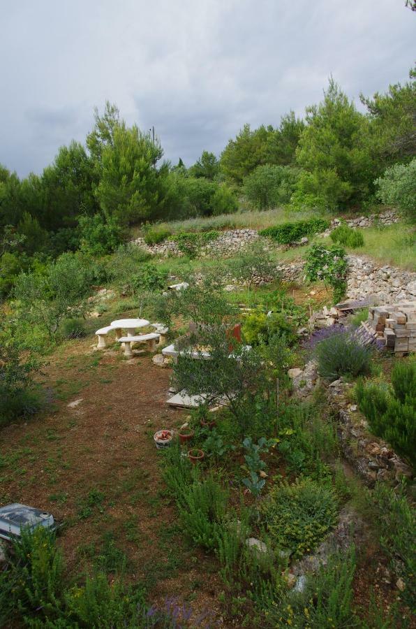 Milica Garden *
